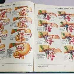 3. ATLAS GIẢI PHẪU NGƯỜI  565266