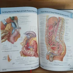 Atlas Giải Phẫu Người (Ấn Bản Lần Thứ 5) - Frank H. Netter, MD 570689