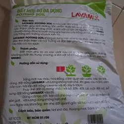 Đất trồng cây Lavamix 1027545