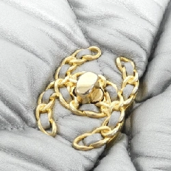 Chanel Chanel 19 Line AS1160 Túi đeo vai - Hàng hiệu Chính hãng 801798