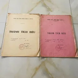 Bộ thành tích biểu xưa của nam sinh trường Trung học cộng đồng quận 6 Sài Gòn  1013235