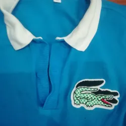 Áo lacoste độ mới cao pass rẻ