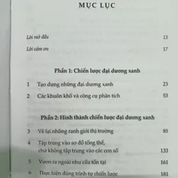 CHIẾN LƯỢC ĐẠI DƯƠNG XANH 565237