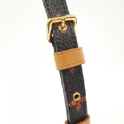 Túi xách vai Louis Vuitton Catgram Paname Set M44399 612900