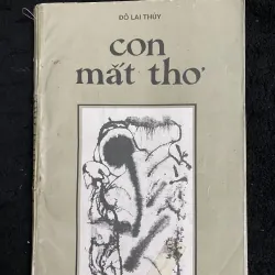 Con mắt thơ- Đỗ Lại Thúy