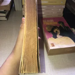 Bà BôVARY - Guyxtavo flobe 937472