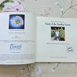 Secret of the Standing Stones 997345