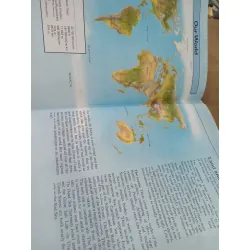 Hamlyn junior encyclopedia 584592