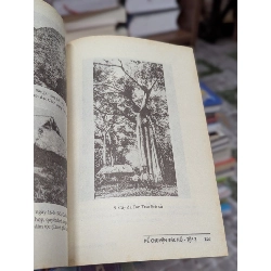 Kể chuyện Bác Hồ 183955