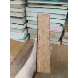 The client - John Grisham 740656