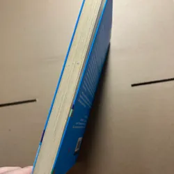 Người thả diều 571744