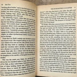 The Bonesetter's Daughter - Amy Tan 735425