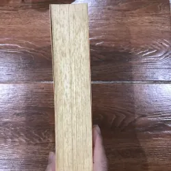 Mimesis - Phương thức biểu hiện thực tại trong văn học phương Tây  (t4) 782338