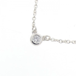 Dây chuyền Tiffany By The Yard - Hàng hiệu Authentic 840715