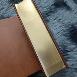 Các loài chim Việt Nam (Lê Mạnh Hùng) 736179