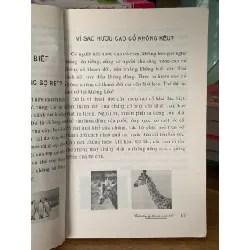 Cuộc sống kỳ diệu của muôn loài – (NXB Lao Động) 561290