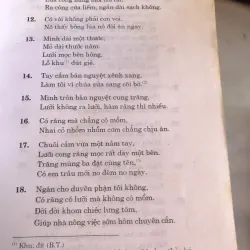 Câu đố Việt Nam - Ninh Viết Giao 991648