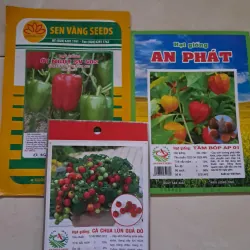 Hạt giống ớt ngọt - tầm bóp - cà chua lùn  1027535