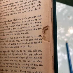 VIỆT NAM PHONG TỤC - PHAN KẾ BÍNH 297680