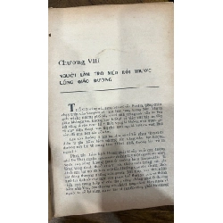 Ngài tổng tống - Miguel Angel 1045541