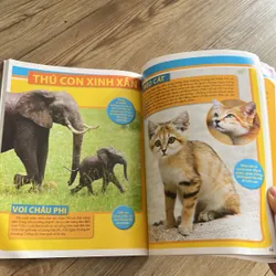 125 loài động vật đáng yêu - sách in màu đẹp cho bé 639924