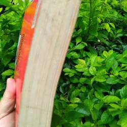 Ông trùm quyền lực cuối cùng của Mario Puzo  990088
