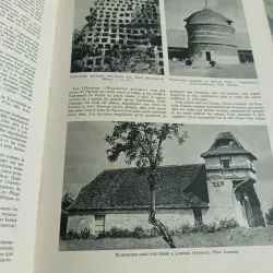 La vie des animaux - Larousse 590350