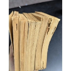 Nhà văn hiện đại - Vũ Ngoc Phan 472867