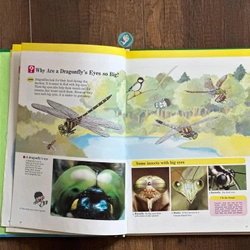 [Bìa cứng] INSECT WORLD (A Child’s First Library of Learning) 224287