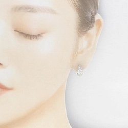 PT900 Bông tai kim cương 0.72CT - Hàng hiệu Chính hãng 870717