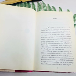 [Sách 2hand từ US] Like new 90% - The Outcasts of 19 Schuyler Place by E. L. Konigsburg  477959