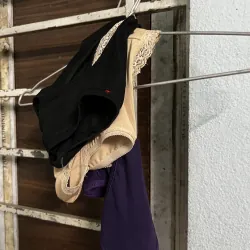 Quần Lót Cotton Nữ 