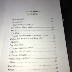 Nắng bạch dương  997407