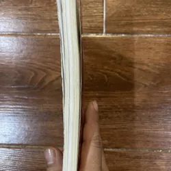 Nguyễn Cao Kỳ trở về đất mẹ - Lý Nhân (7) 597884