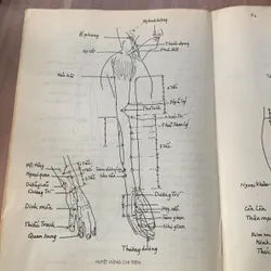 Hướng dẫn tra cứu châm cứu, Dương Trọng Hiếu 608243