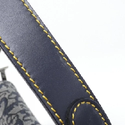 Túi xách vai Christian Dior Saddle SLO44001 - Hàng hiệu Chính hãng 776493