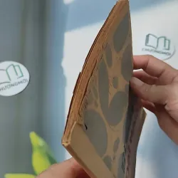 [XƯA] Bí Mật Đại Não (1982) - BS. Cao Trường Thọ 775987