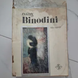 Nàng Binôđini - Rabindranath Tagore - Tiểu thuyết