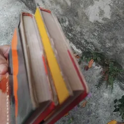 Đất vỡ hoang của Mikhail Solokhov 1031382