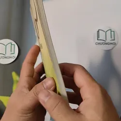 Thơ Nguyễn Bính - Hoàng Xuân  798311