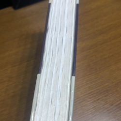 Tội ác và hình phạt F. Doxtoevxki 493479