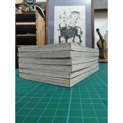 Truyện tranh huyền thoại karate 465551