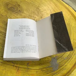 MỘT CHUYẾN TÀU ĐÊM- LƯU TRỌNG LÂN 748639