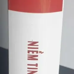 Niềm Tin Bất Hoại Đối Với Đức Phật -Thích Thái Hòa 687478