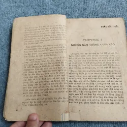 NGOẠI Ô - TÔ NHUẬN VỸ 689535