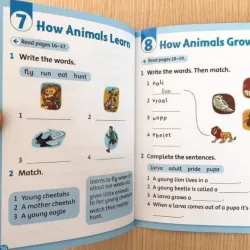 Sách khoa học - Oxford read and discover/imagine level 1, 20 cuốn tặng file nghe 936574