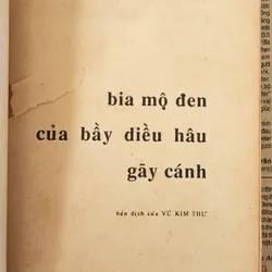 BIA MỘ ĐEN & BẦY DIỀU HÂU GÃY CÁNH - Erich Maria Remarque 727199