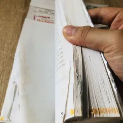 365 LOÀI HOA CẢNH 1028092