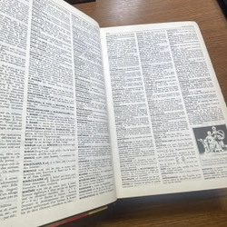 Le Petit Larousse Illustre 1993 Từ điển 408650
