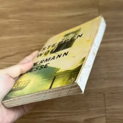 Steppenwolf - Hermann Hesse 785177